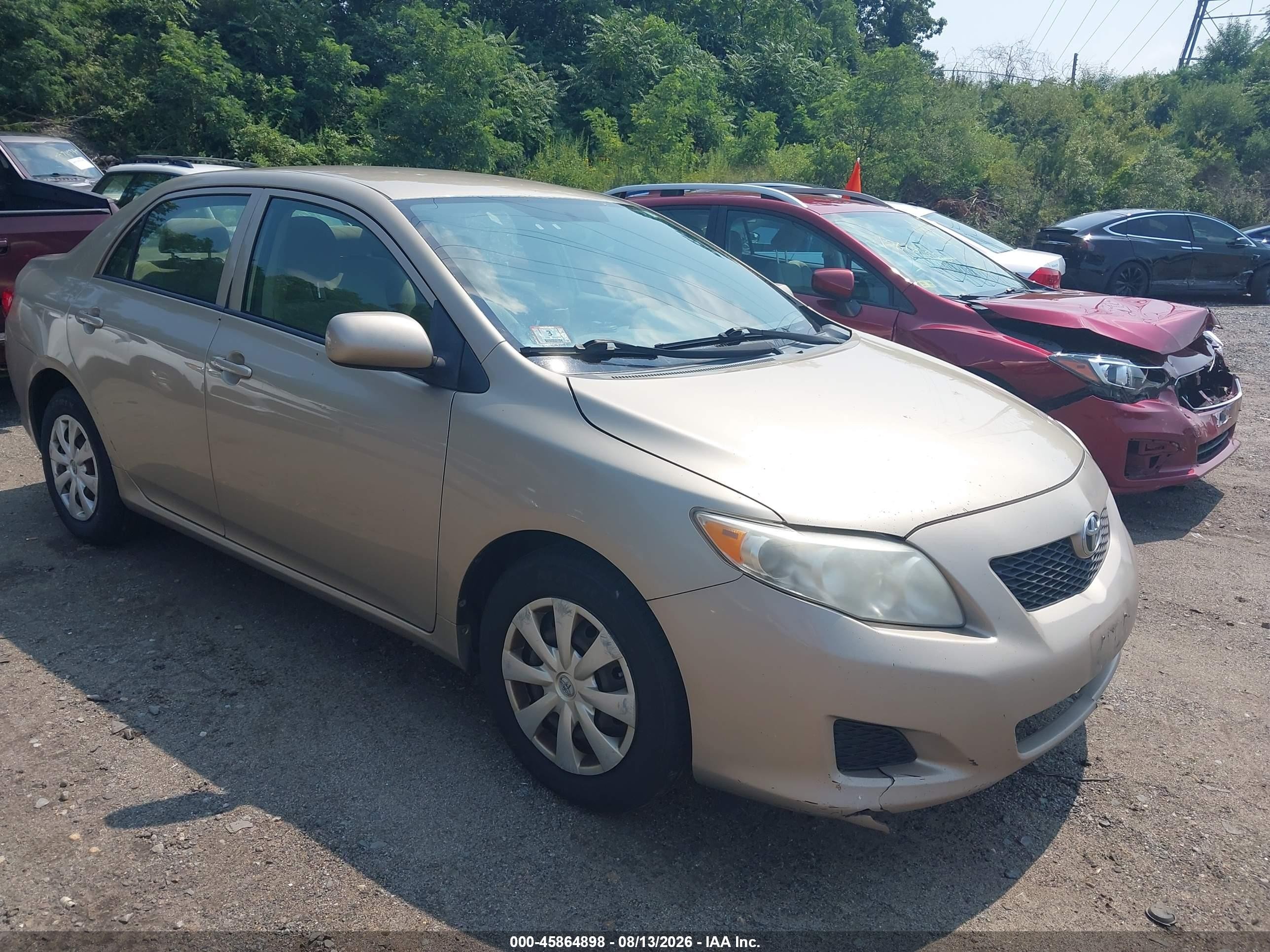 2010 Toyota Corolla Le Gold vin: 2T1BU4EE4AC263933