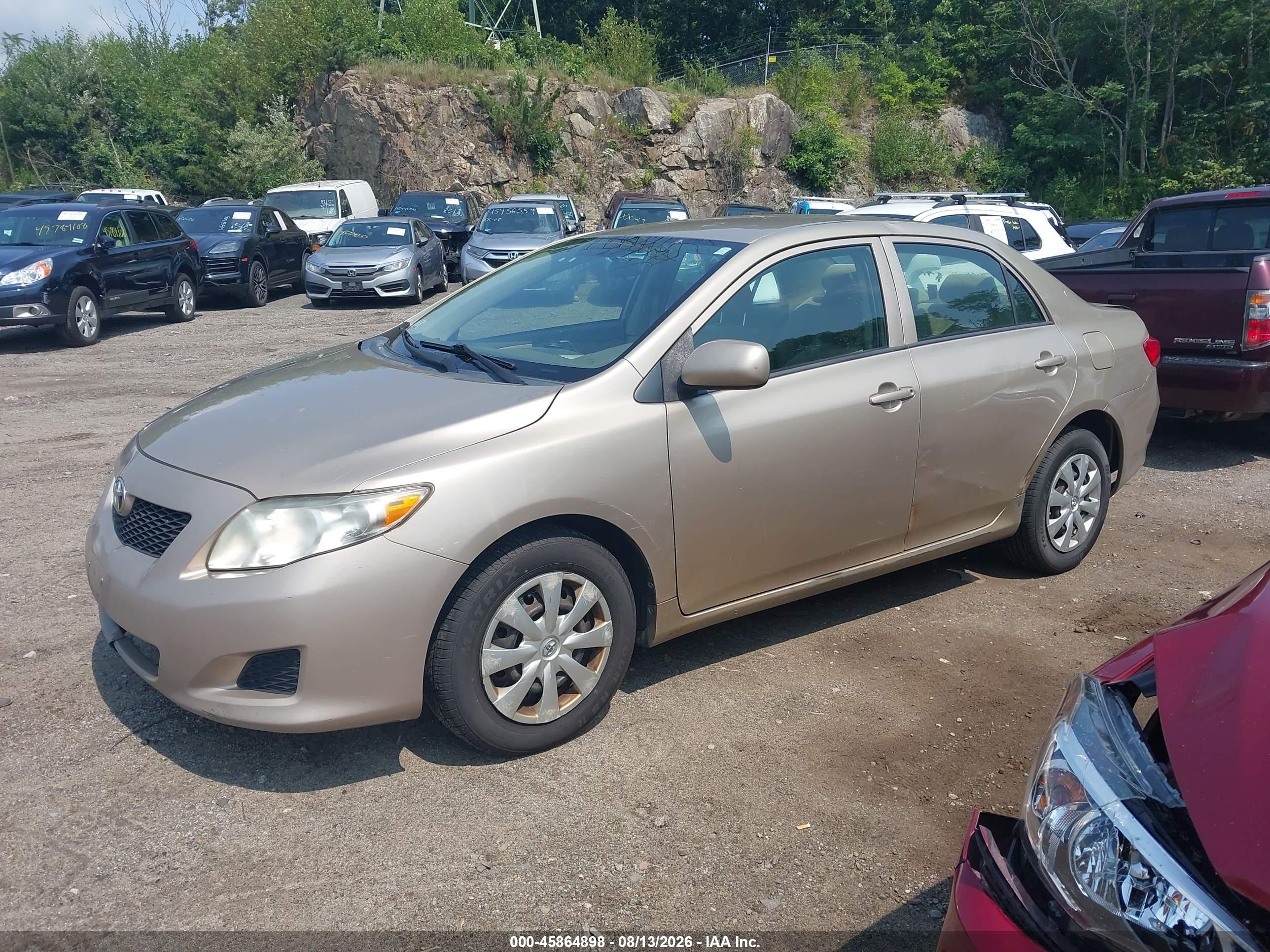 2010 Toyota Corolla Le Gold vin: 2T1BU4EE4AC263933