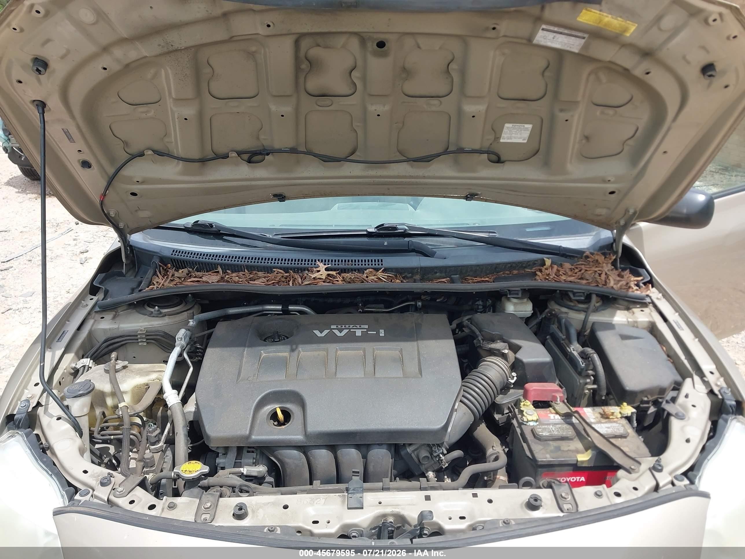 2010 Toyota Corolla Tan vin: 2T1BU4EE4AC314654