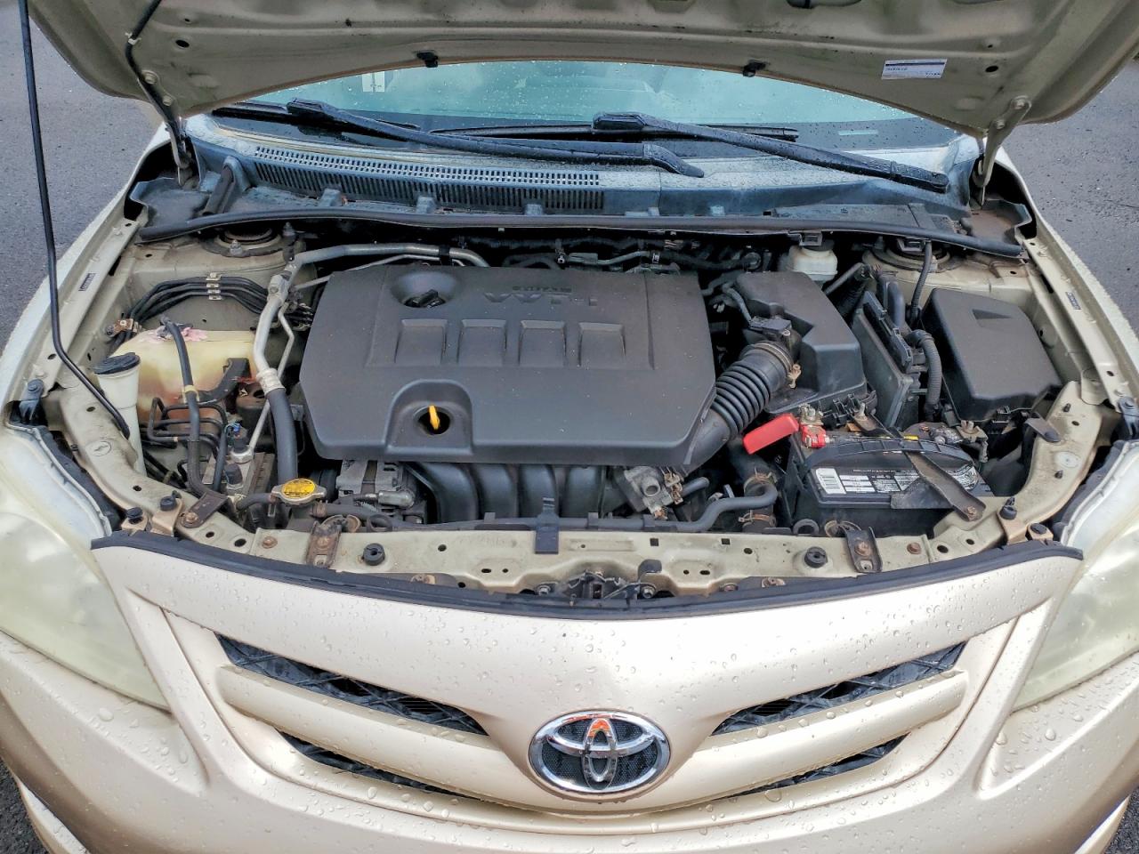 2011 Toyota Corolla Base Gold vin: 2T1BU4EE4BC543711