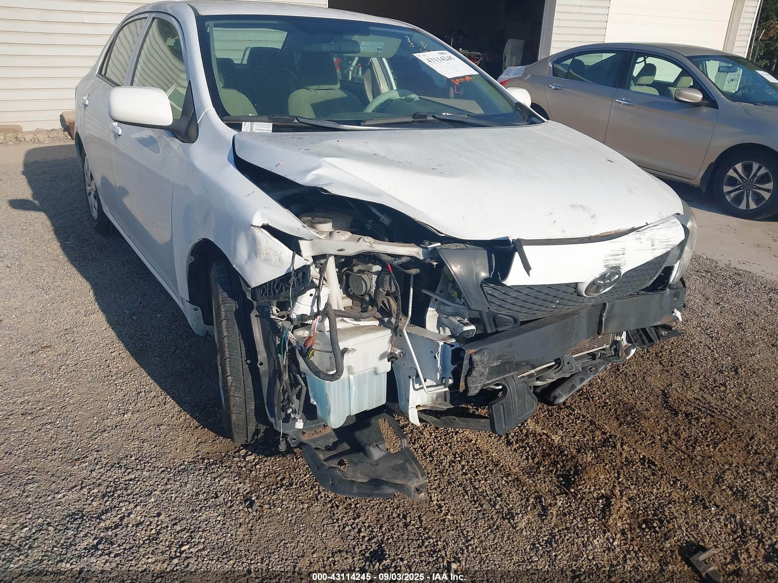2010 Toyota Corolla Le White vin: 2T1BU4EE5AC228110