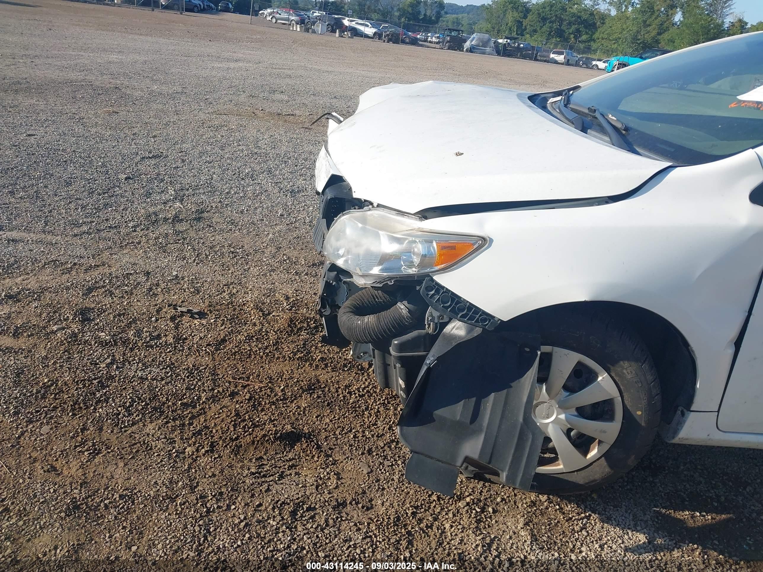 2010 Toyota Corolla Le White vin: 2T1BU4EE5AC228110