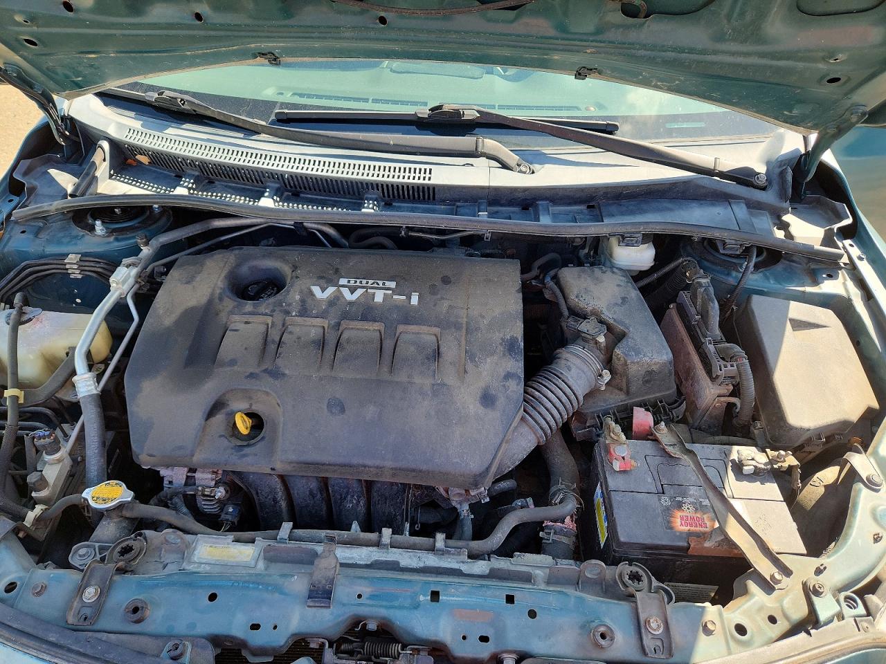 2010 Toyota Corolla Le Green vin: 2T1BU4EE5AC406386