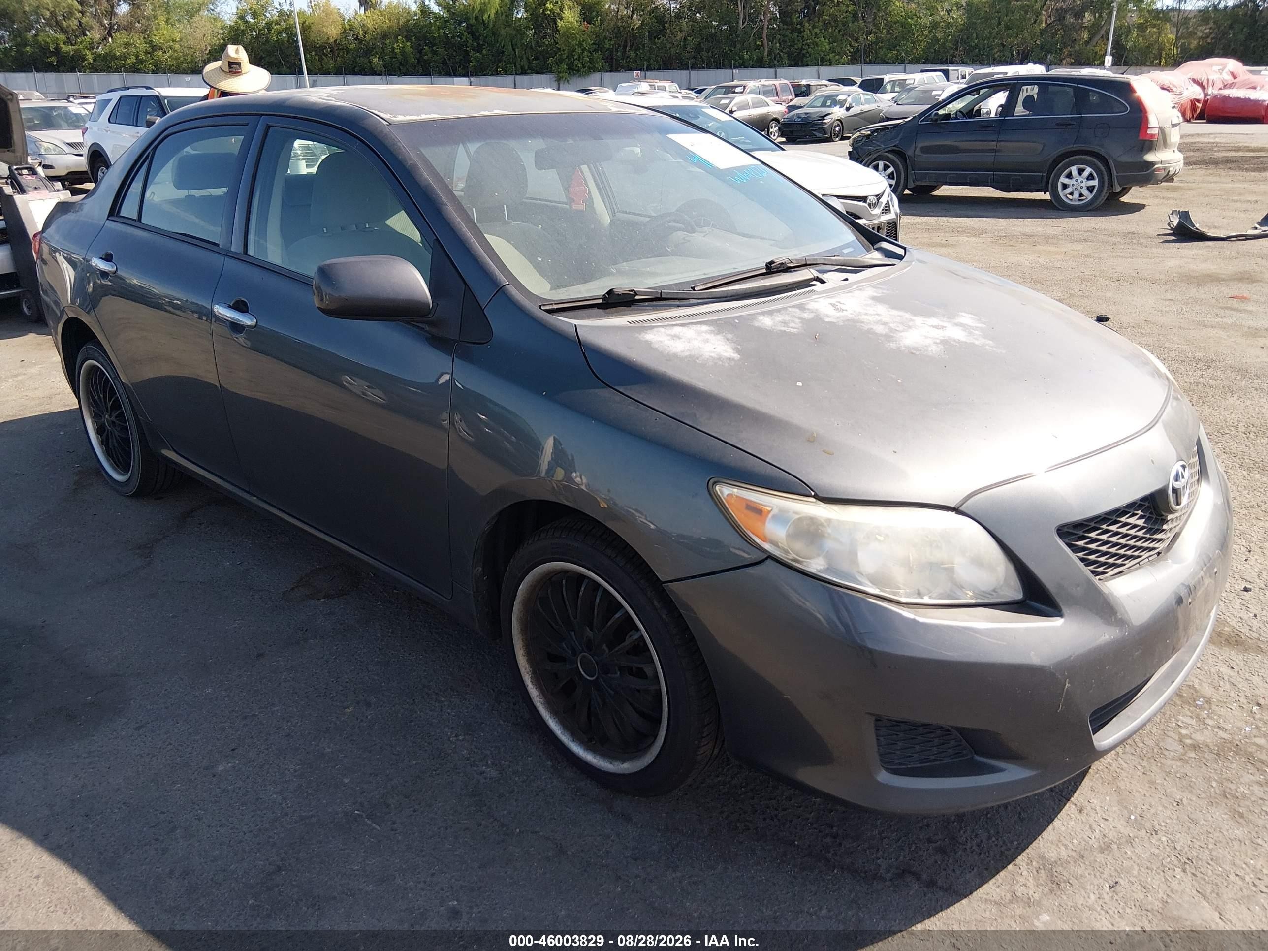 2010 Toyota Corolla Le Серый vin: 2T1BU4EE6AC254229