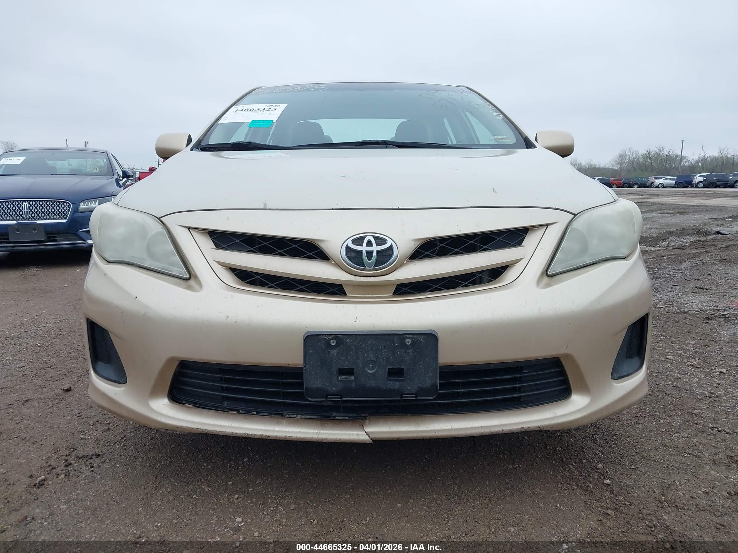 2011 Toyota Corolla Le Бежевый vin: 2T1BU4EE6BC574569