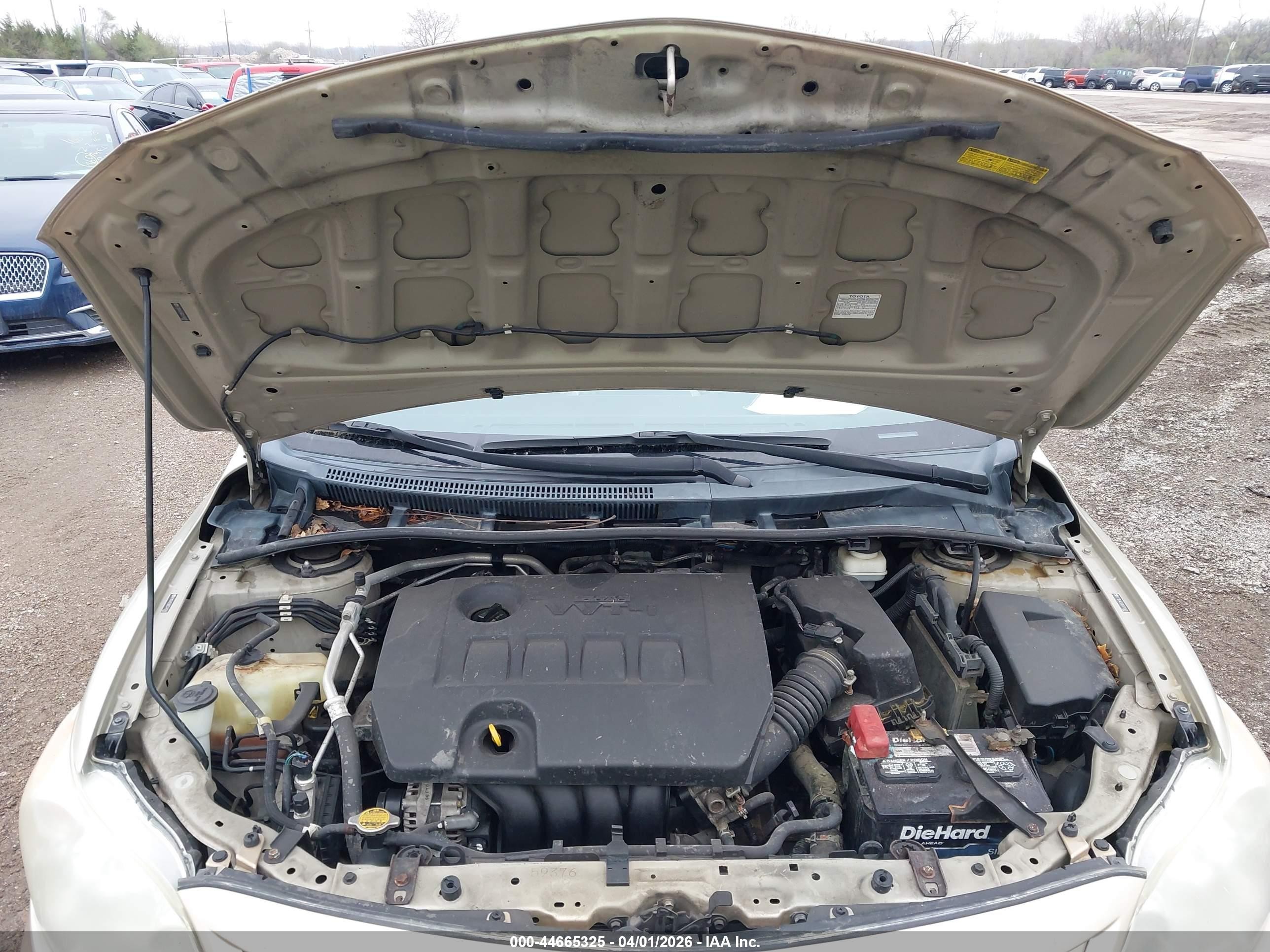 2011 Toyota Corolla Le Бежевый vin: 2T1BU4EE6BC574569