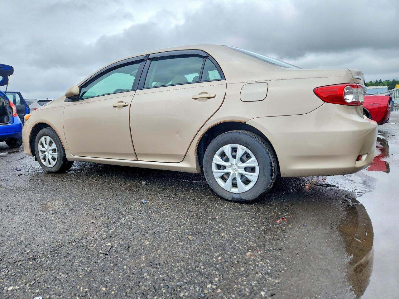 2011 Toyota Corolla Le Желто-коричневый vin: 2T1BU4EE6BC647987