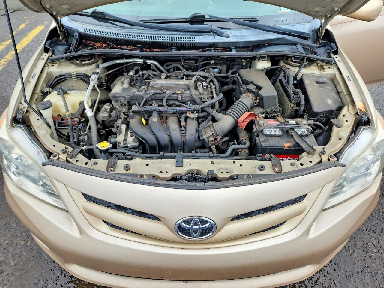 2011 Toyota Corolla Le Желто-коричневый vin: 2T1BU4EE6BC647987