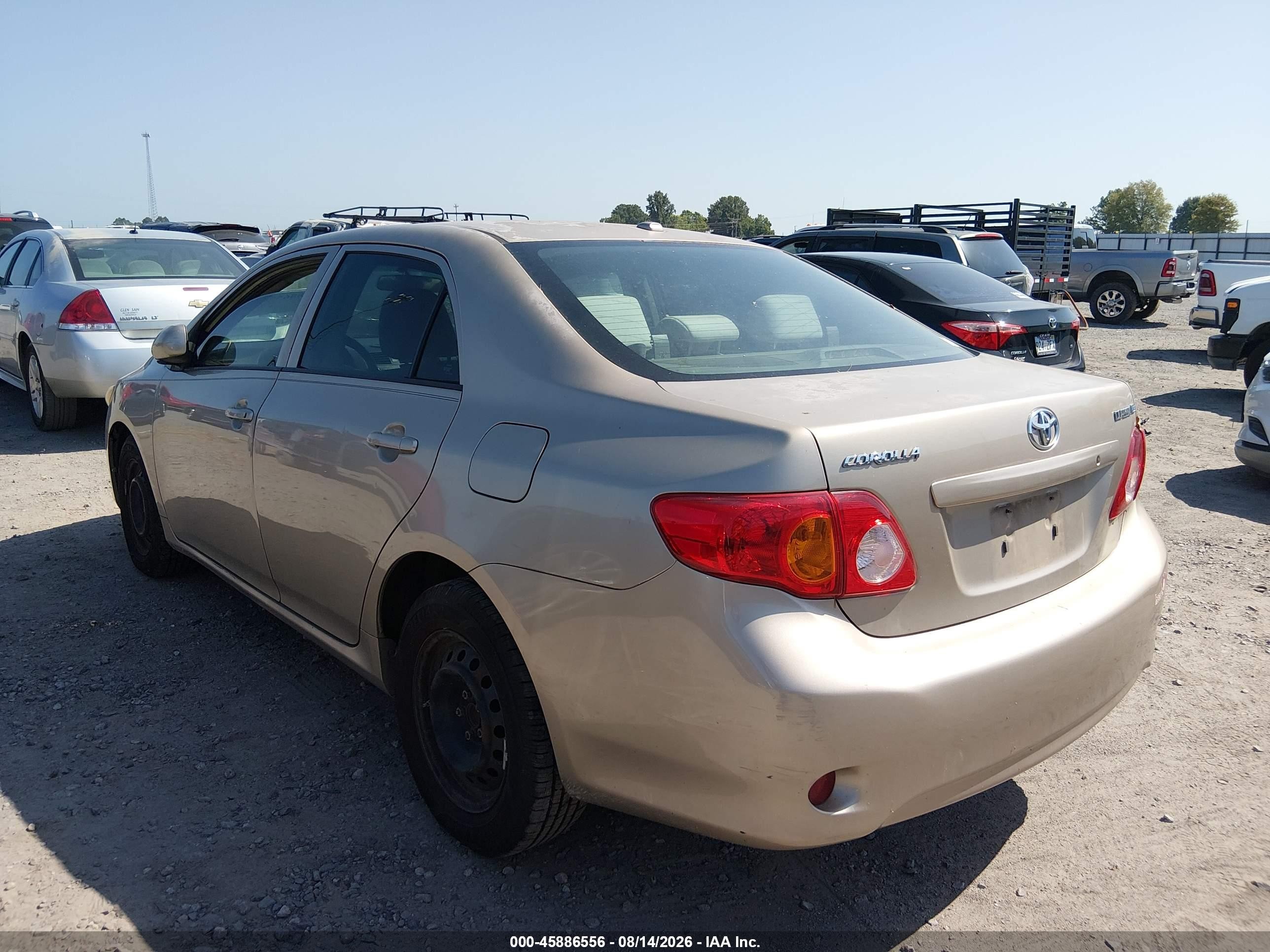 2010 Toyota Corolla Le Желто-коричневый vin: 2T1BU4EE7AC197135