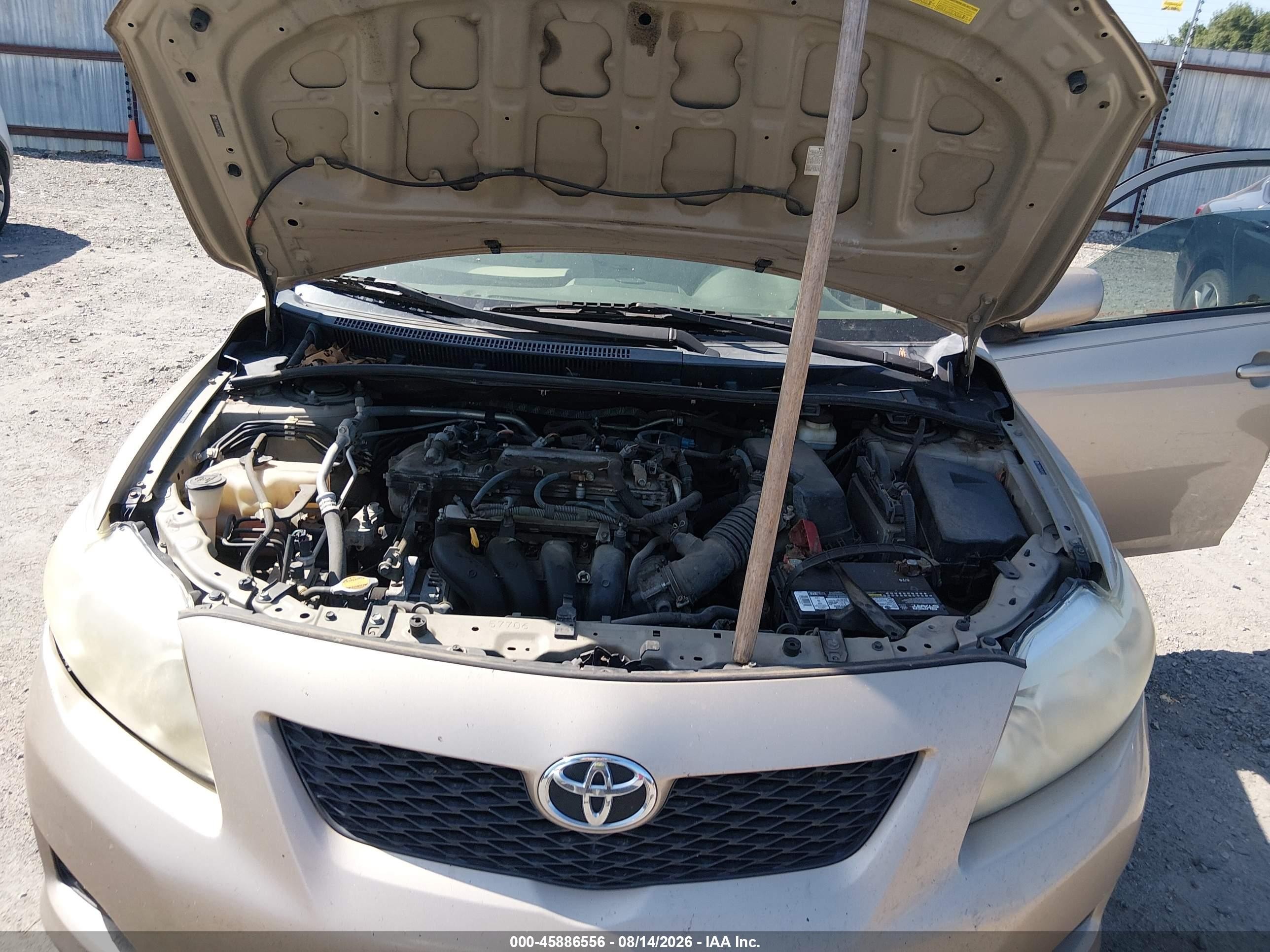 2010 Toyota Corolla Le Желто-коричневый vin: 2T1BU4EE7AC197135