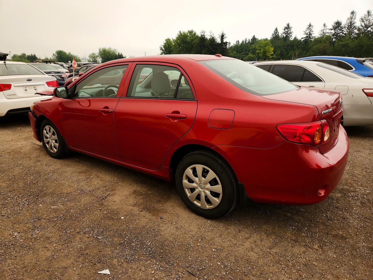 2010 Toyota Corolla Base Red vin: 2T1BU4EE7AC257737