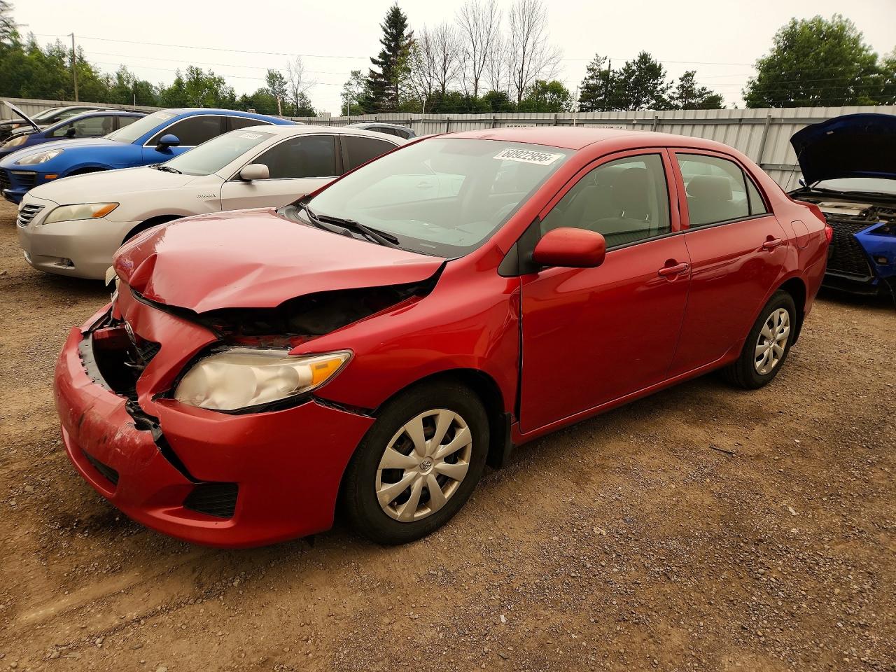 2010 Toyota Corolla Base Red vin: 2T1BU4EE7AC257737