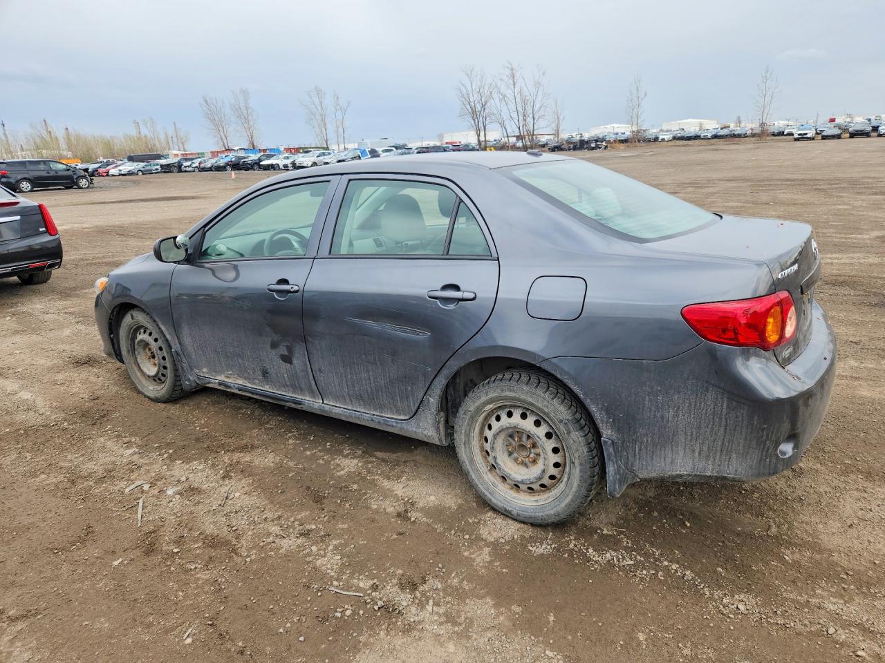 2010 Toyota Corolla Base Gray vin: 2T1BU4EE7AC320979