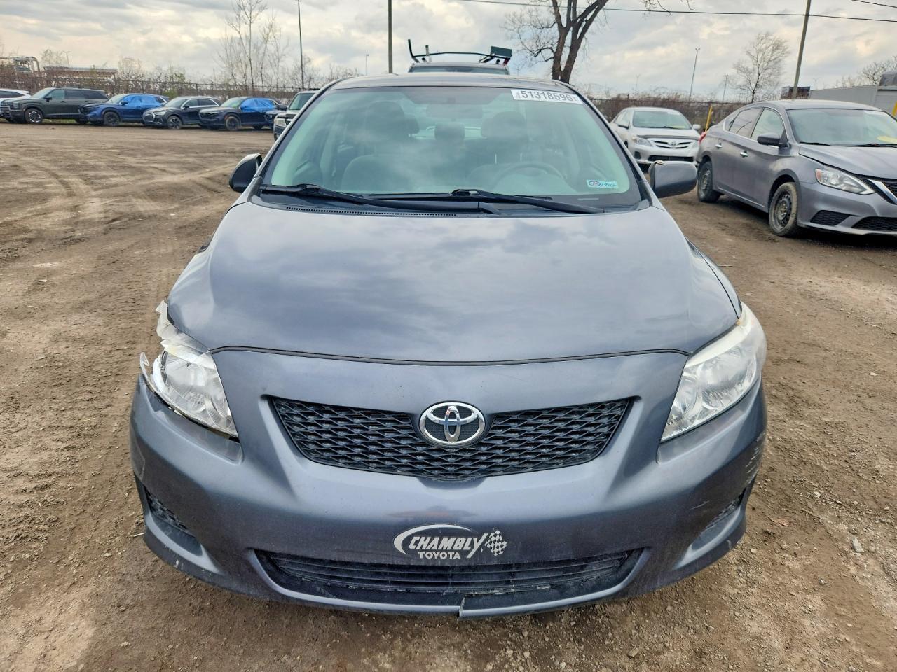 2010 Toyota Corolla Base Gray vin: 2T1BU4EE7AC320979