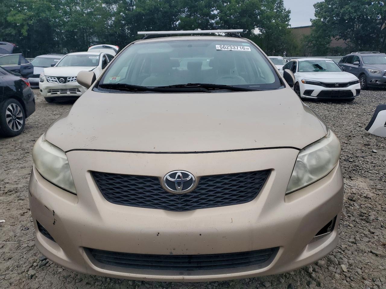 2010 Toyota Corolla Le Tan vin: 2T1BU4EE7AC323235