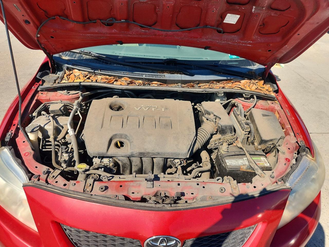 2010 Toyota Corolla Le Red vin: 2T1BU4EE7AC358454