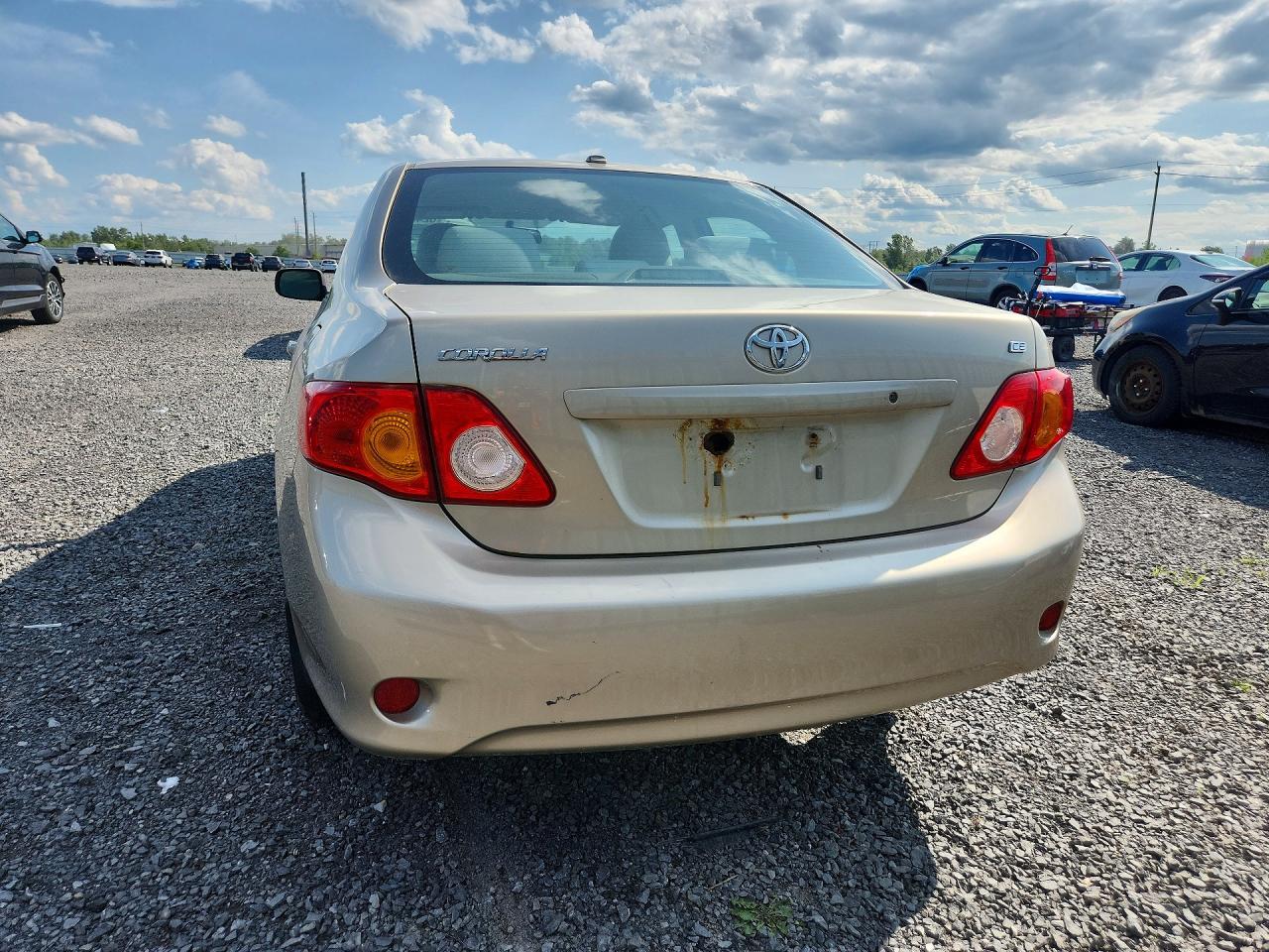 2010 Toyota Corolla Base Желто-коричневый vin: 2T1BU4EE7AC361256
