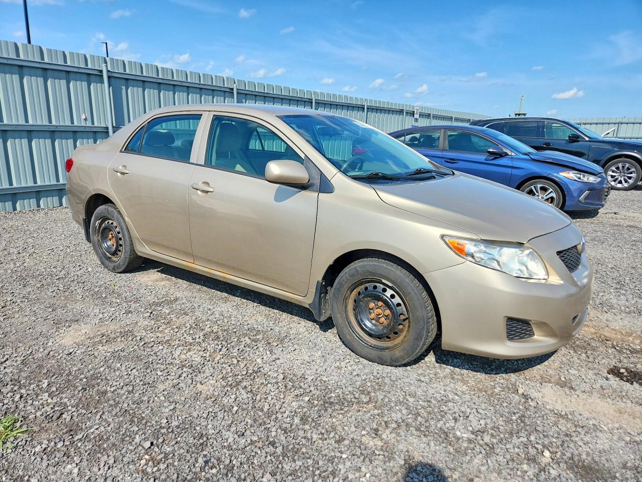 2010 Toyota Corolla Base Желто-коричневый vin: 2T1BU4EE7AC361256