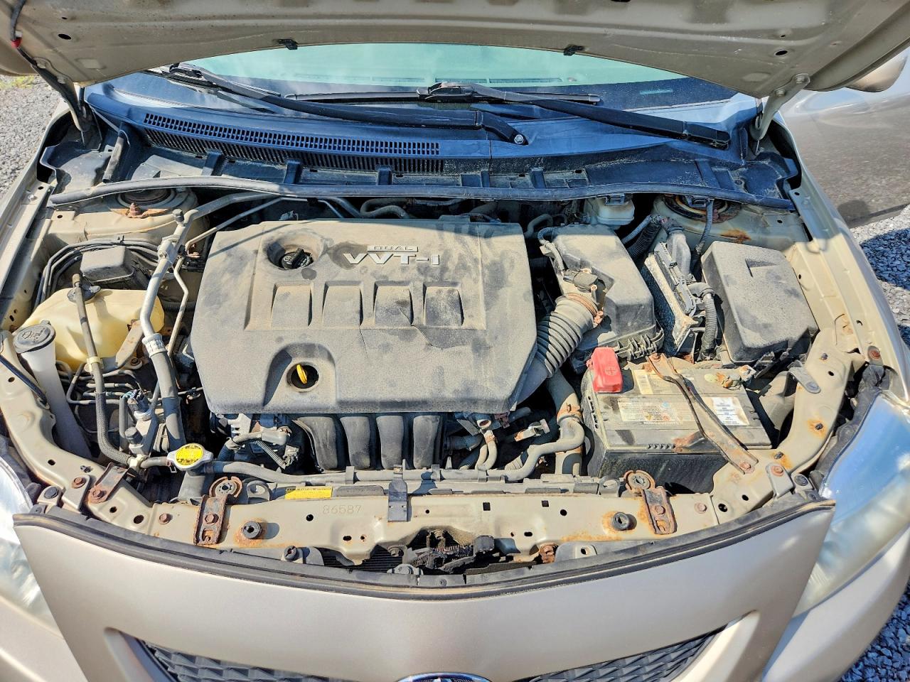 2010 Toyota Corolla Base Желто-коричневый vin: 2T1BU4EE7AC361256