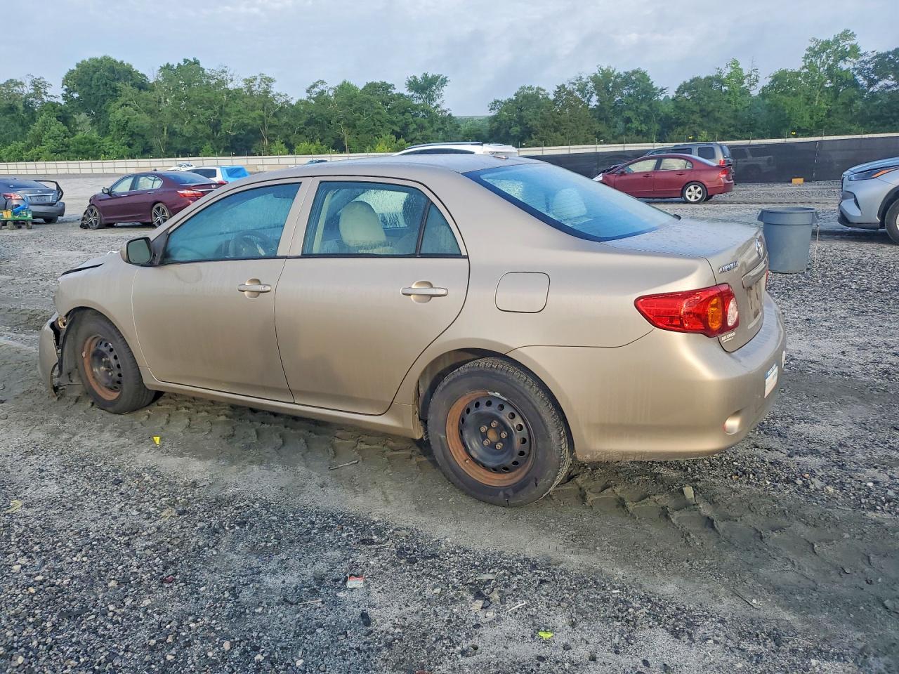 2010 Toyota Corolla Le Gold vin: 2T1BU4EE7AC509728
