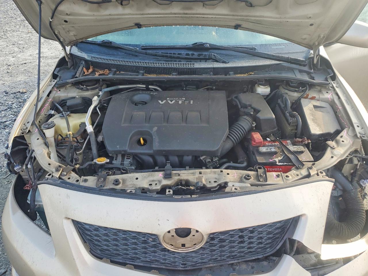 2010 Toyota Corolla Le Gold vin: 2T1BU4EE7AC509728