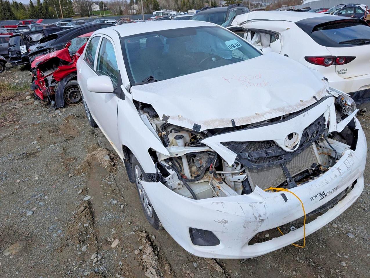 2013 Toyota Corolla L Белый vin: 2T1BU4EE7DC046414