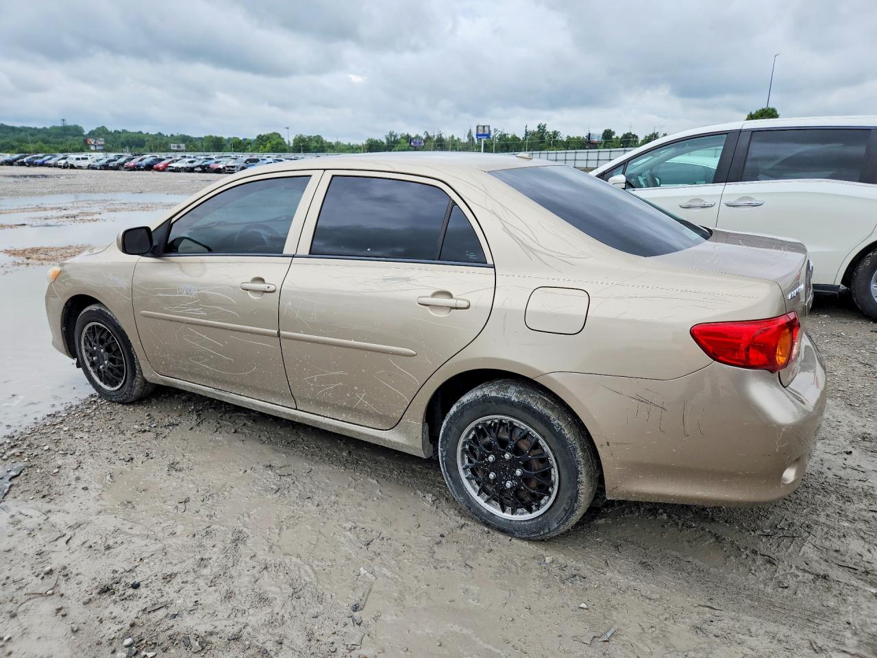 2010 Toyota Corolla Le Gold vin: 2T1BU4EE8AC320859