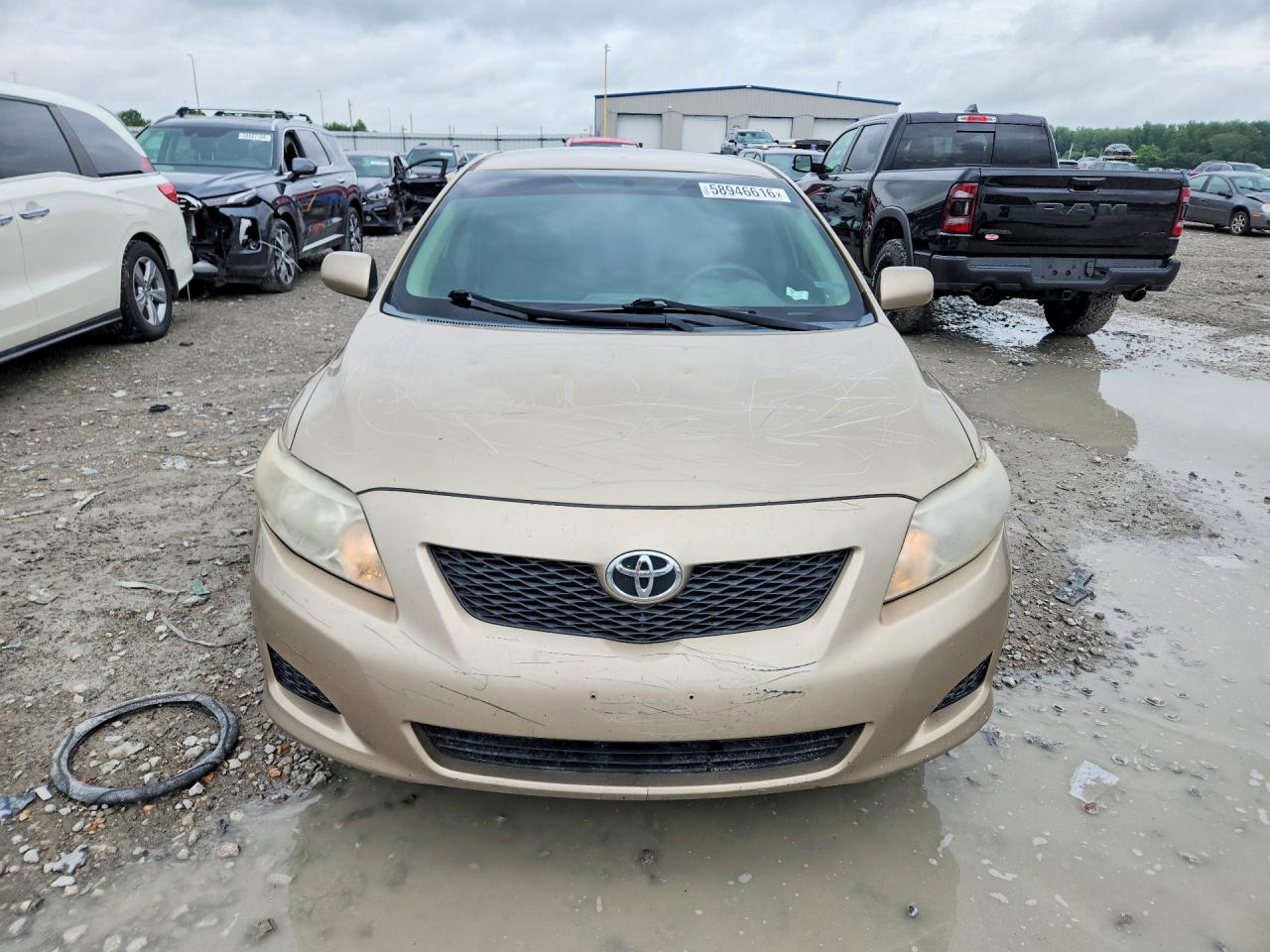 2010 Toyota Corolla Le Gold vin: 2T1BU4EE8AC320859