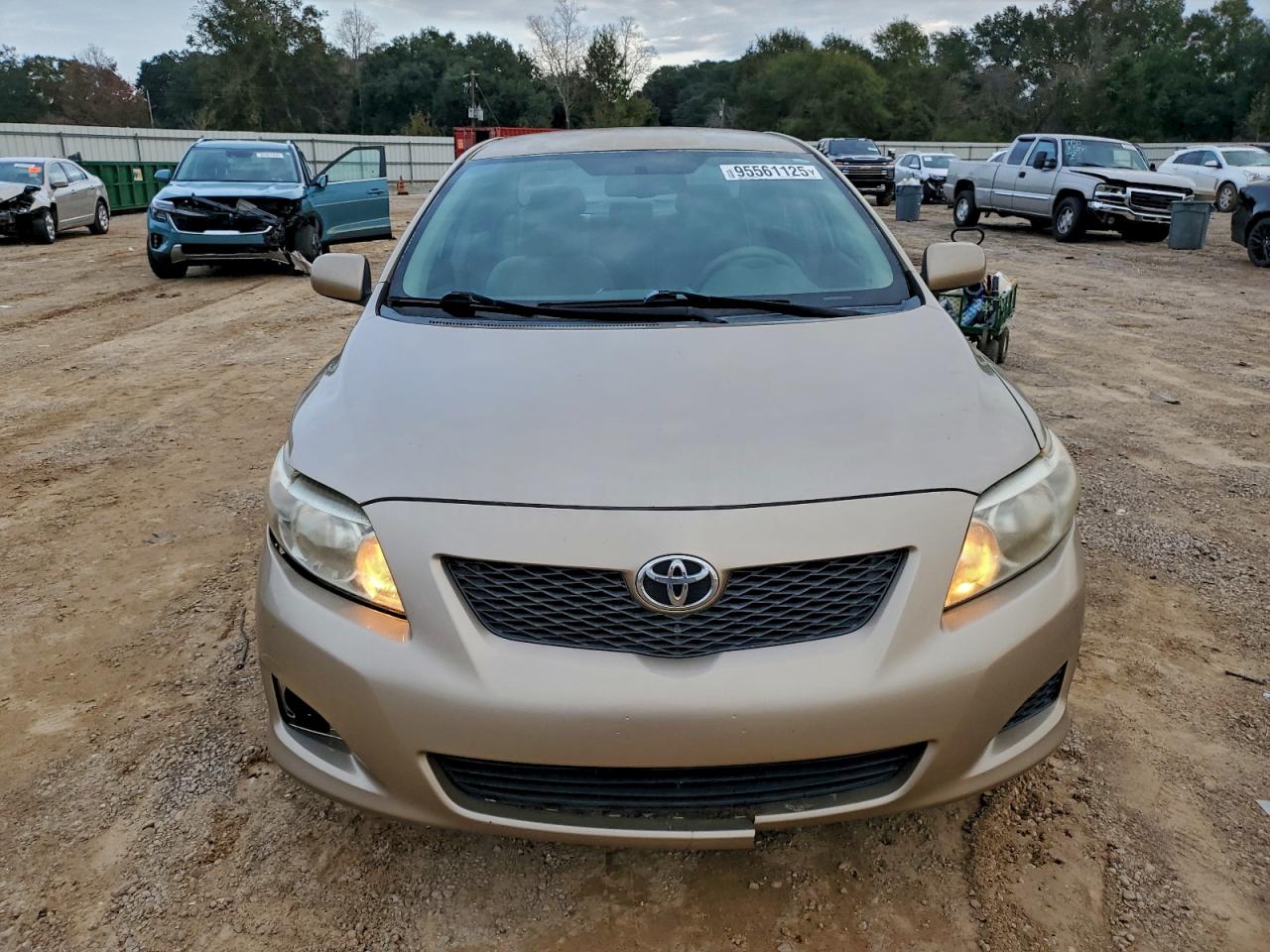 2010 Toyota Corolla Base Beige vin: 2T1BU4EE8AC438782