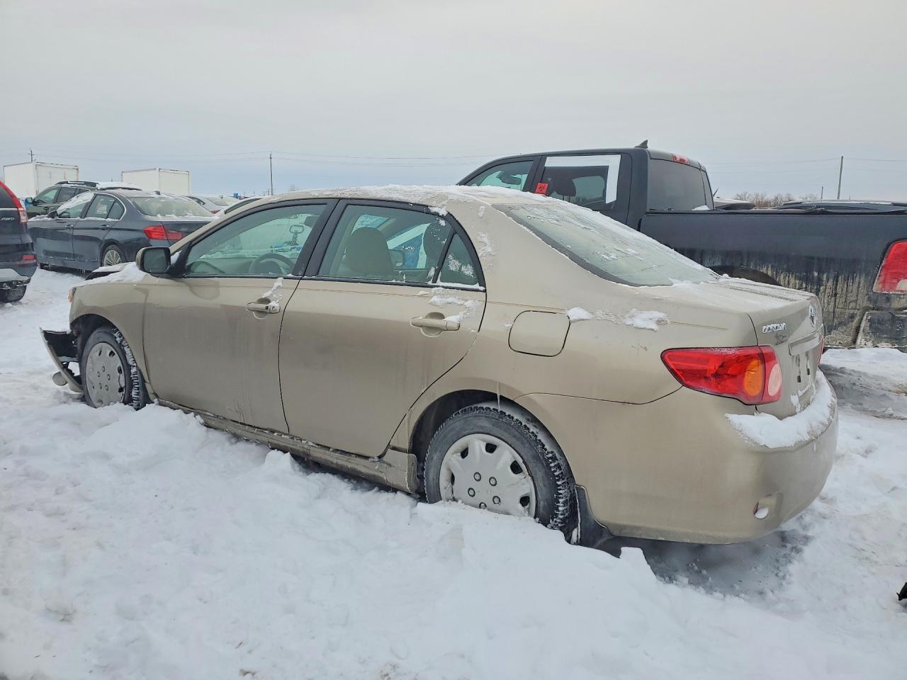2010 Toyota Corolla Base Tan vin: 2T1BU4EE9AC402860