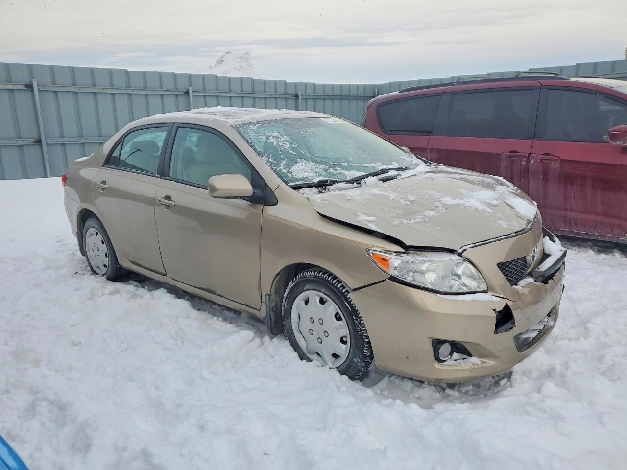 2010 Toyota Corolla Base Tan vin: 2T1BU4EE9AC402860