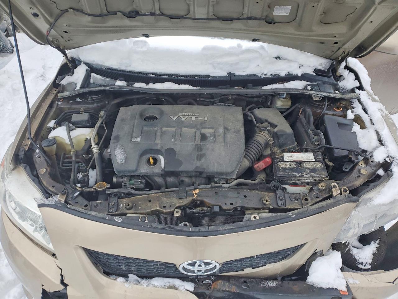 2010 Toyota Corolla Base Tan vin: 2T1BU4EE9AC402860