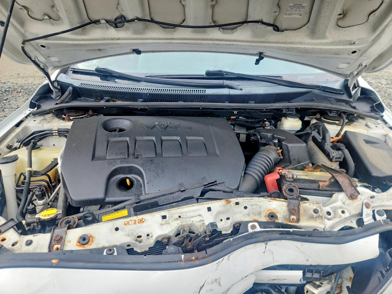2012 Toyota Corolla L Белый vin: 2T1BU4EE9CC899296