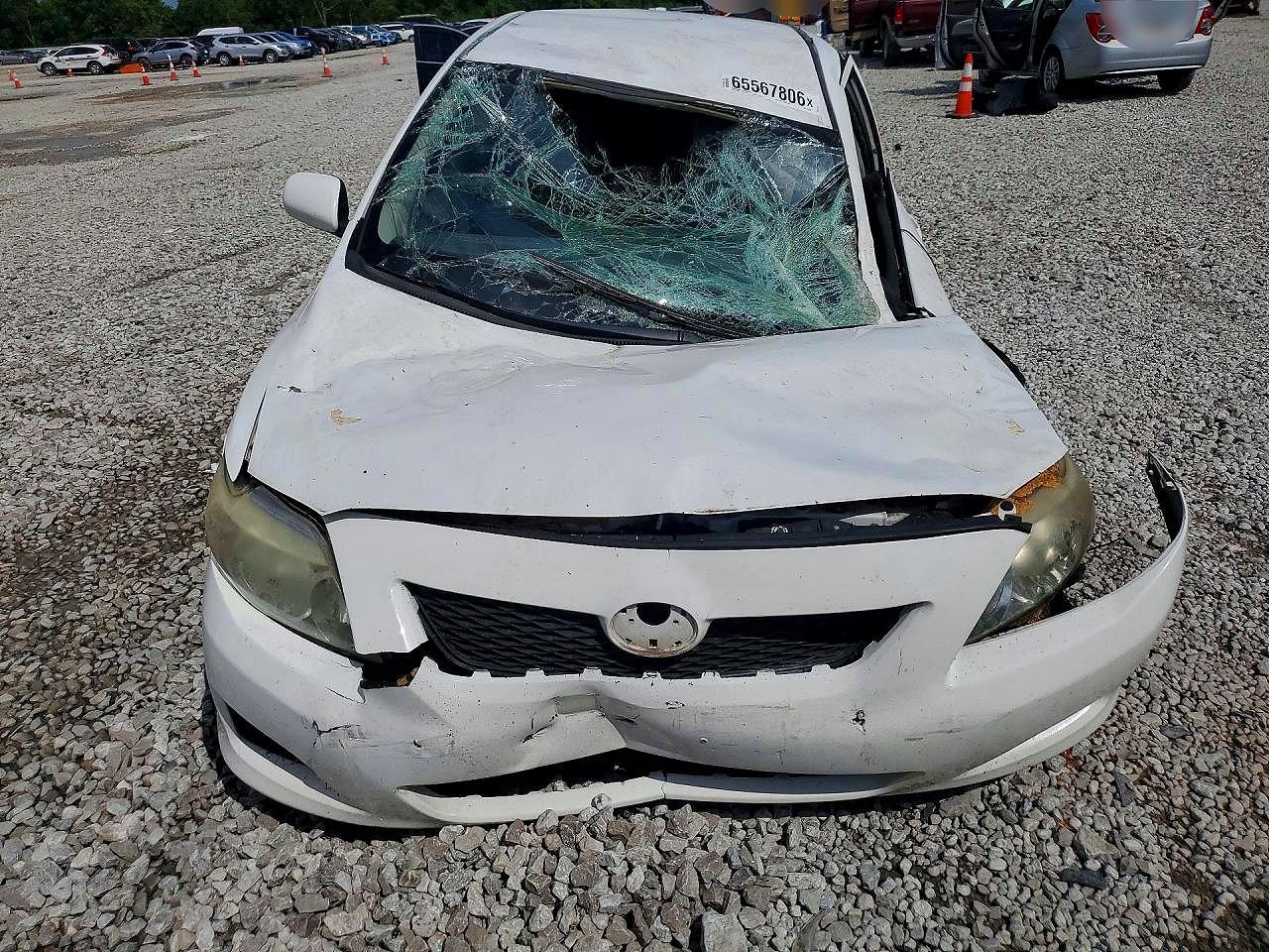 2010 Toyota Corolla Le White vin: 2T1BU4EEXAC231343