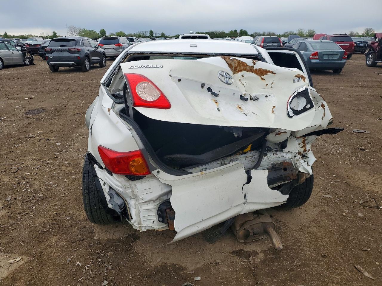 2010 Toyota Corolla Белый vin: 2T1BU4EEXAC337467