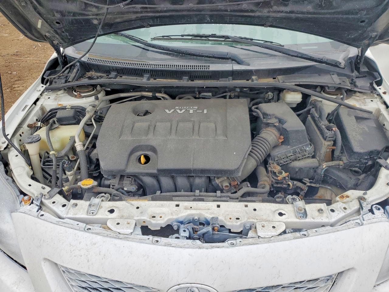 2010 Toyota Corolla Белый vin: 2T1BU4EEXAC337467