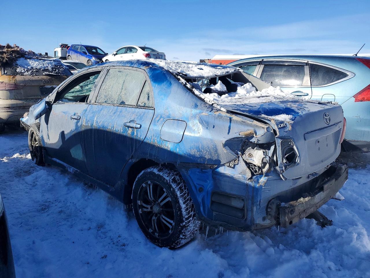 2010 Toyota Corolla Base Blue vin: 2T1BU4EEXAC360683