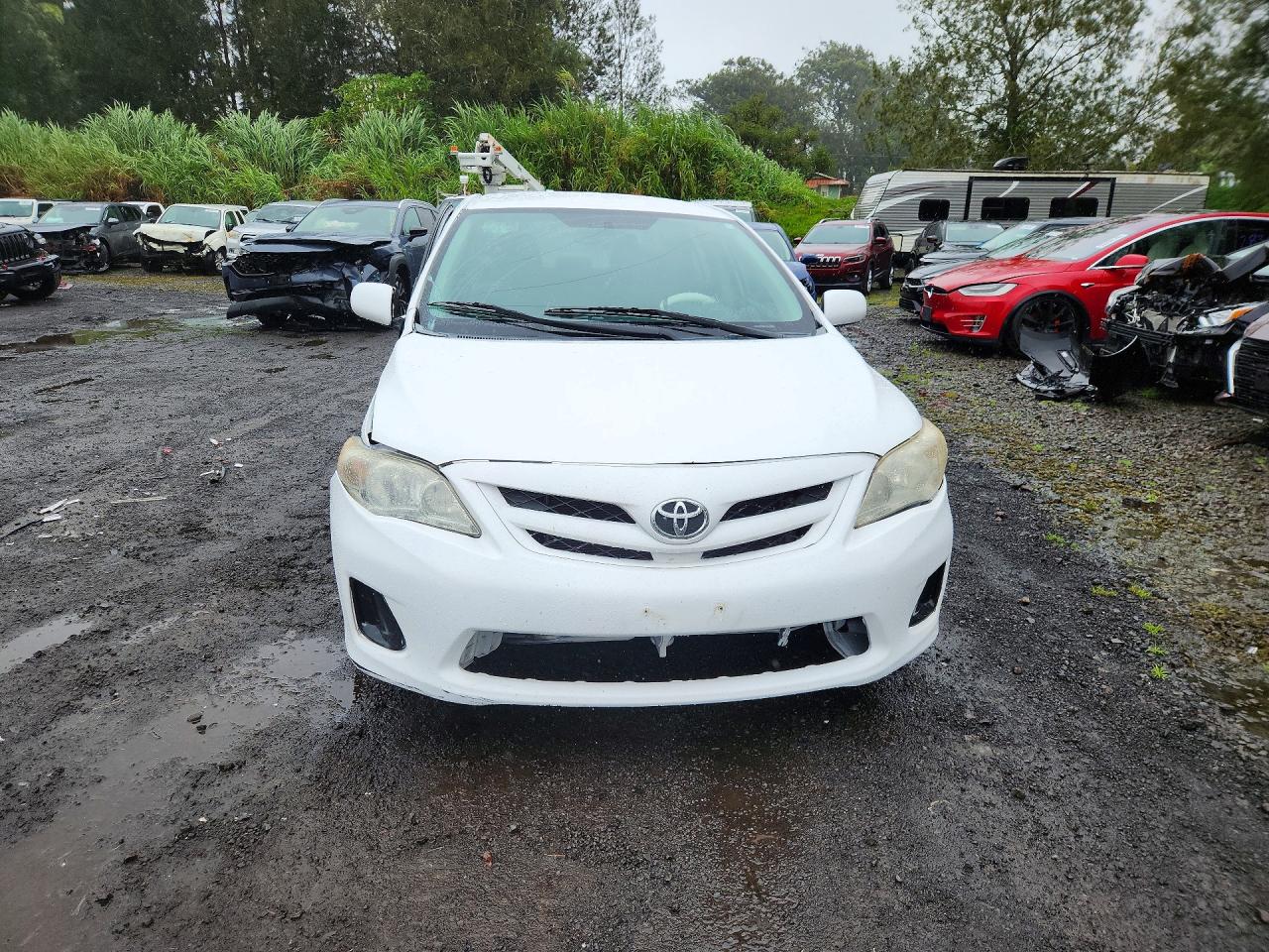 2011 Toyota Corolla Base White vin: 2T1BU4EEXBC537783