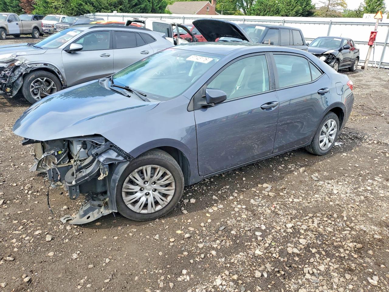 2014 Toyota Corolla Le Blue vin: 2T1BURHE0EC197685