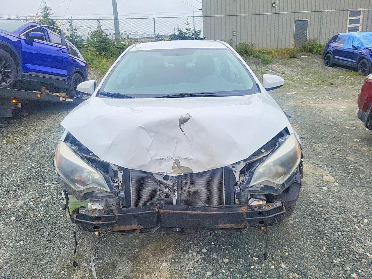 2015 Toyota Corolla L Белый vin: 2T1BURHE0FC472201