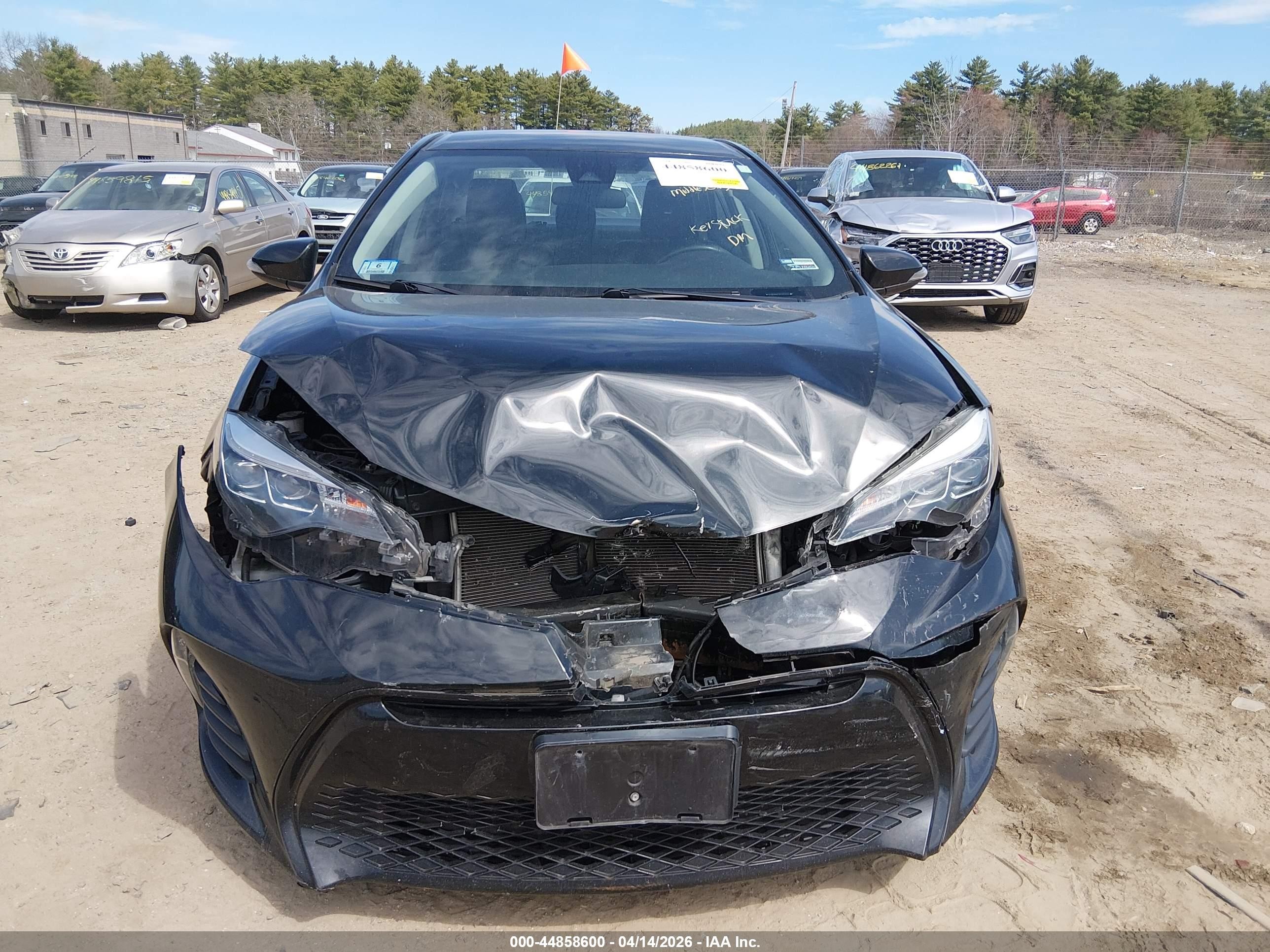 2019 Toyota Corolla Se Black vin: 2T1BURHE1KC164688
