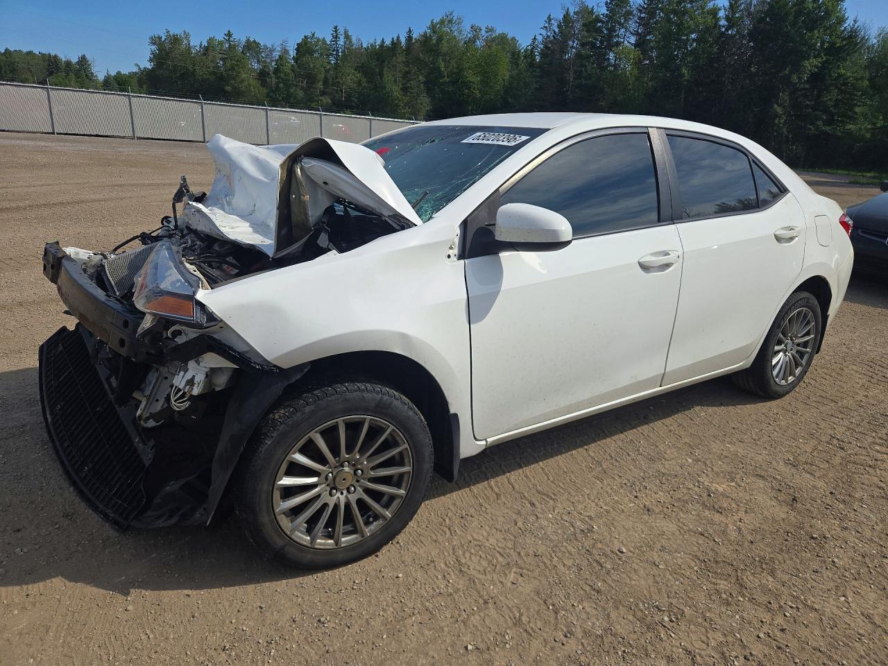 2014 Toyota Corolla L White vin: 2T1BURHE3EC163160