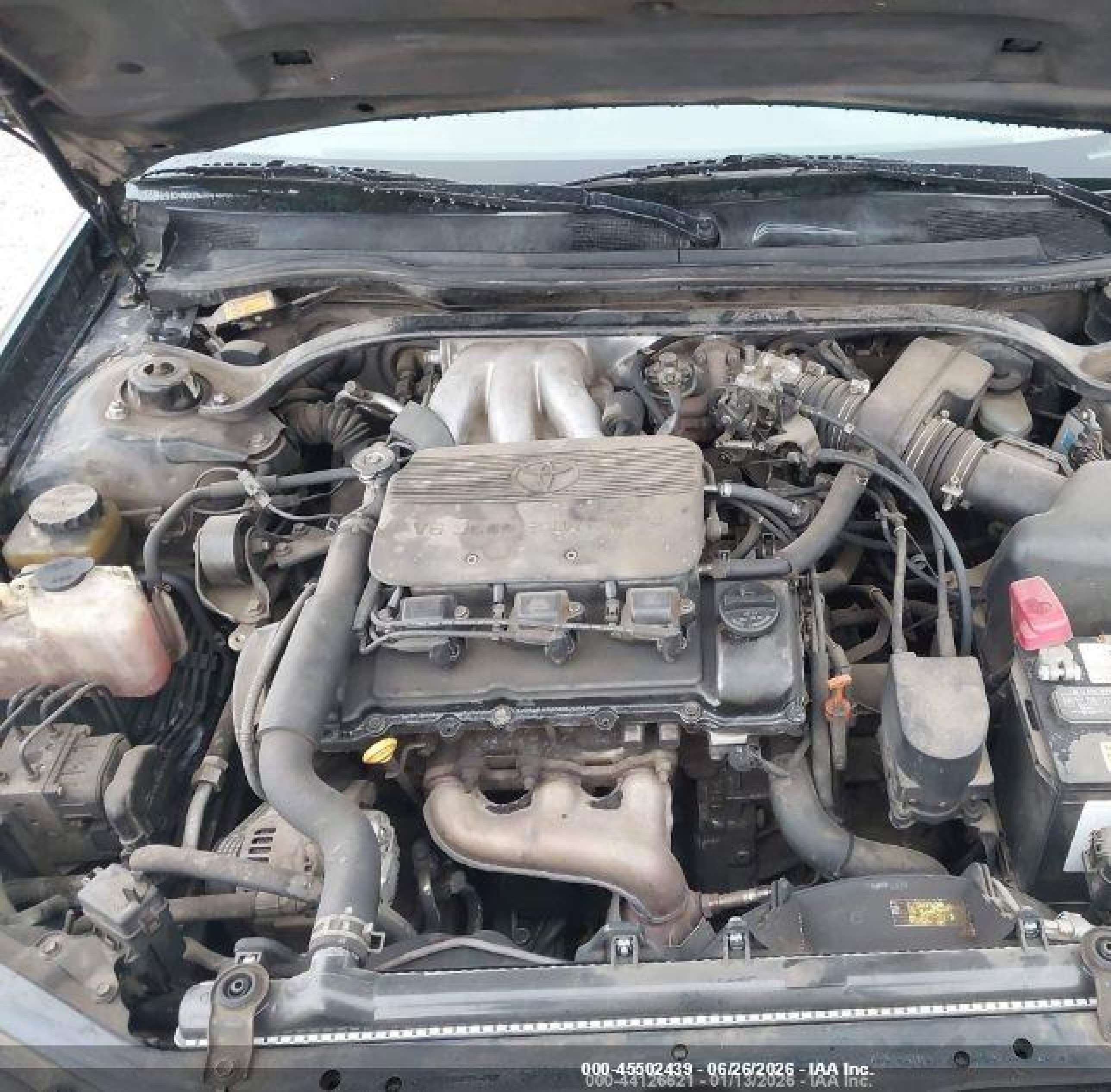 1999 Toyota Camry Solara Se V6 Green vin: 2T1CF28P4XC260362