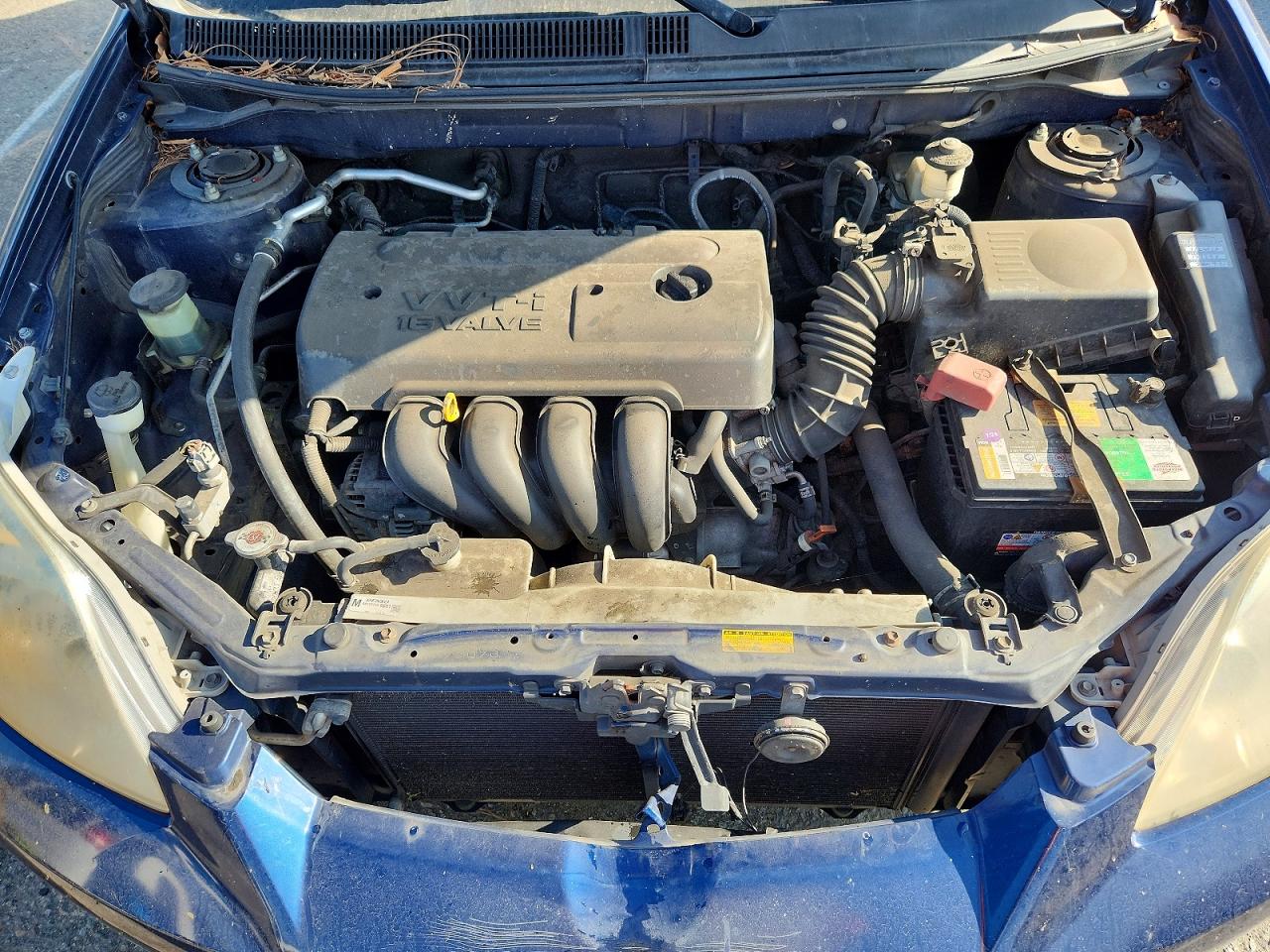 2008 Toyota Corolla Matrix Xr Blue vin: 2T1KR32E08C687149