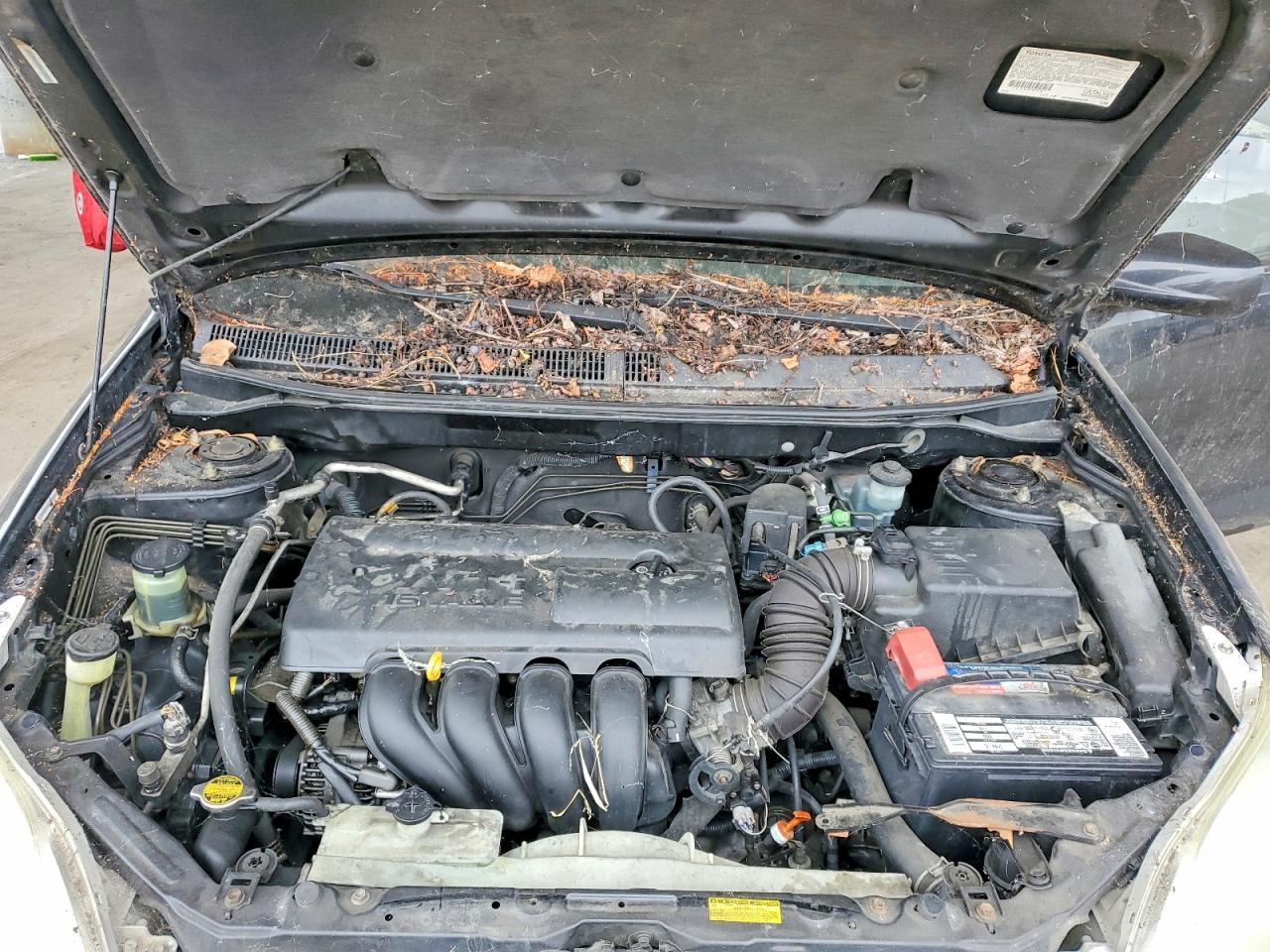 2003 Toyota Matrix Xr Черный vin: 2T1KR32E23C070831