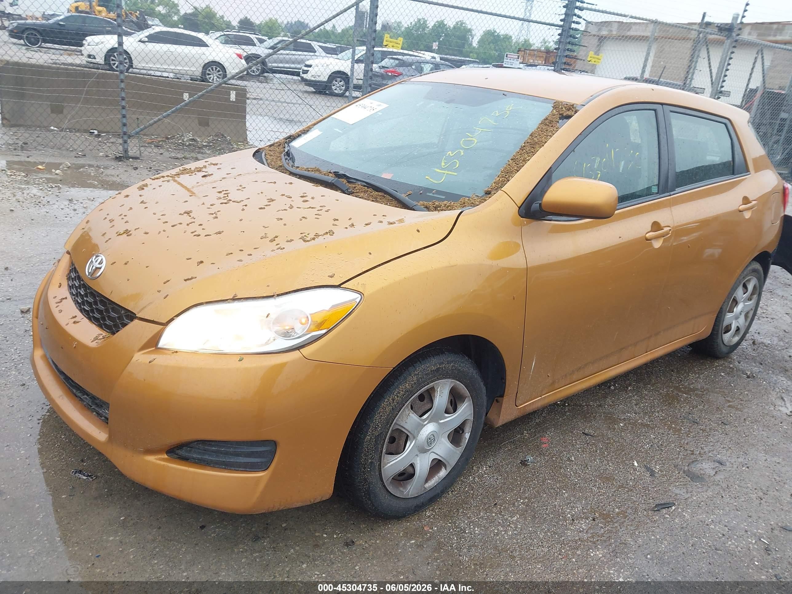 2009 Toyota Matrix   Gold vin: 2T1KU40E99C065948