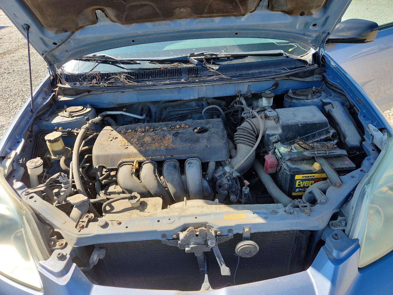 2006 Toyota Matrix Base Blue vin: 2T1LR32EX6C562872