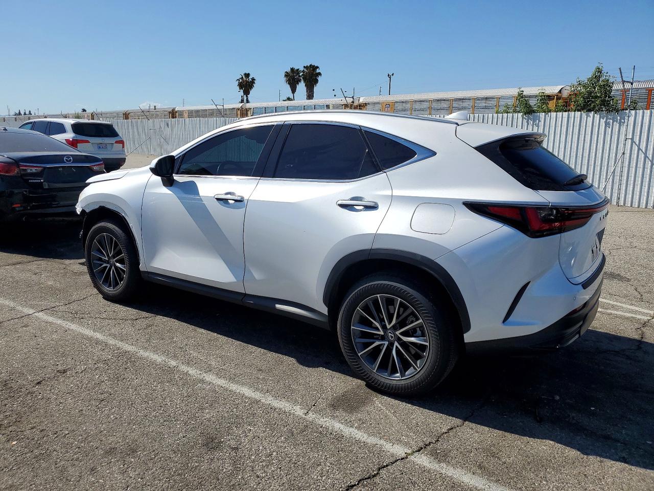 2025 Lexus Nx 250 Base Белый vin: 2T2ADCAZ1SC031267
