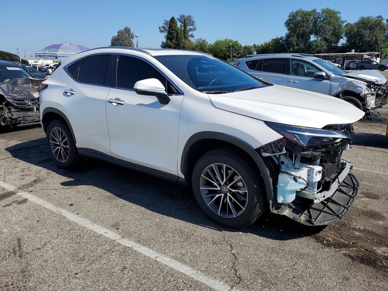 2025 Lexus Nx 250 Base Белый vin: 2T2ADCAZ1SC031267