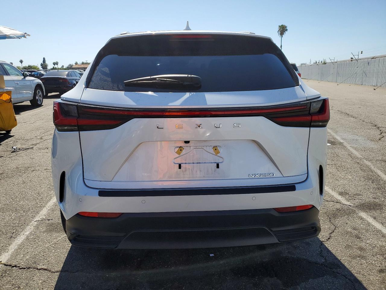 2025 Lexus Nx 250 Base Белый vin: 2T2ADCAZ1SC031267